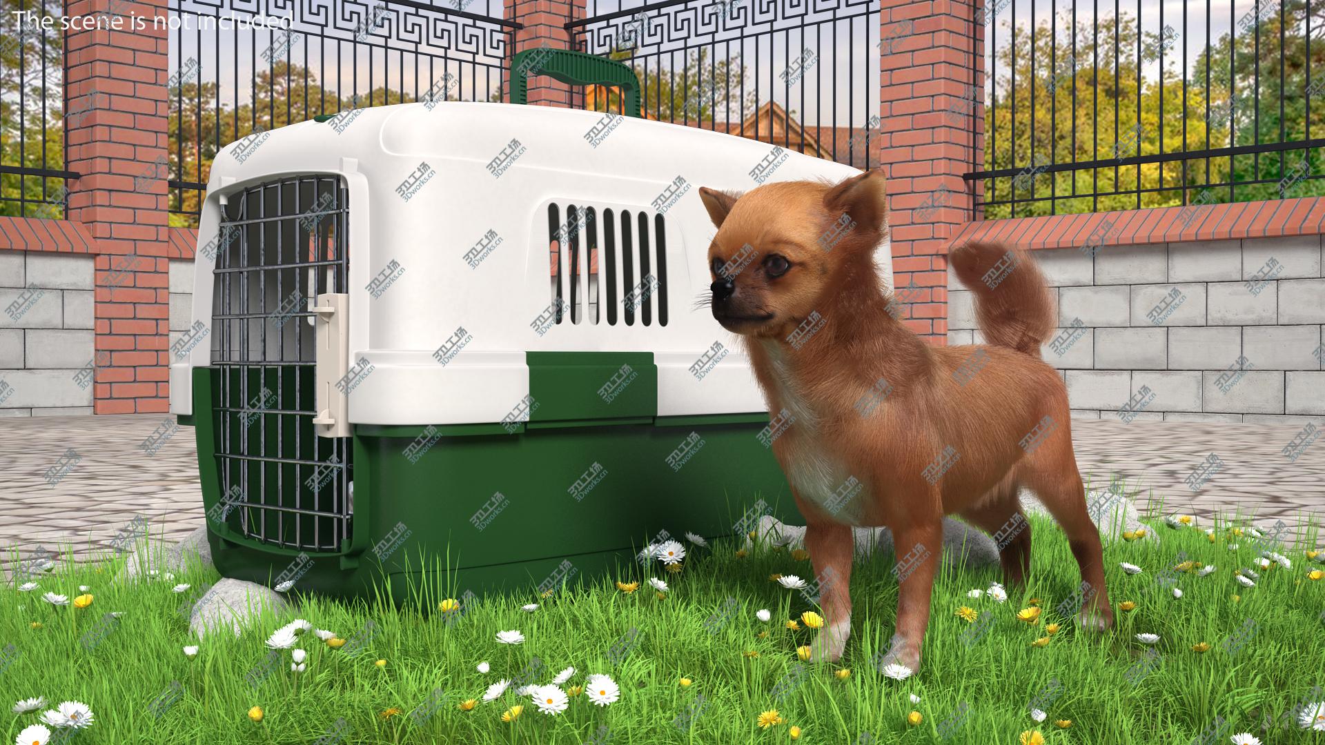 images/goods_img/20210319/Chihuahua in the Pet Carrier with Fur 3D model/1.jpg